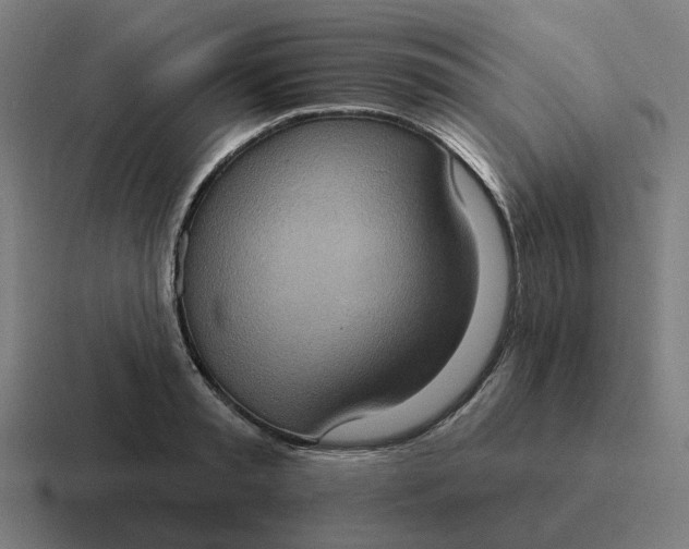 X0000116770797200912311837