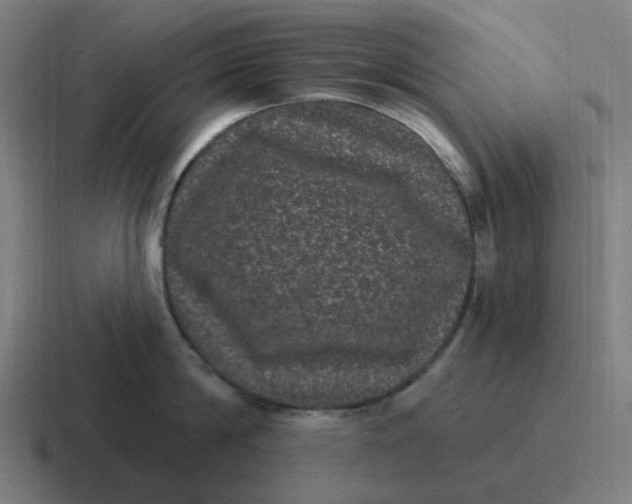 X0000116770814200912311837
