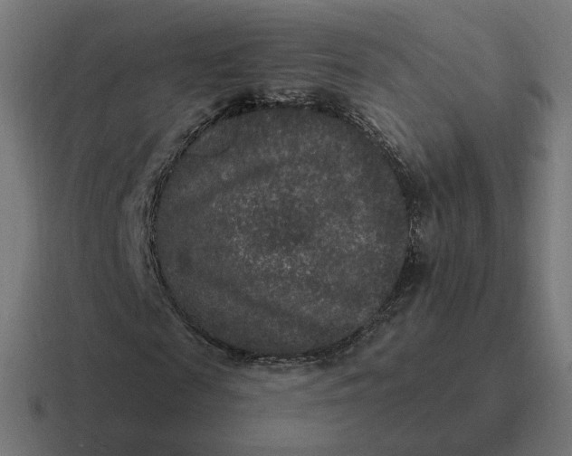 X0000116770817200912311836