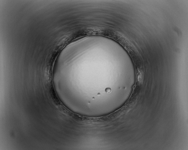 X0000116770819200912311836