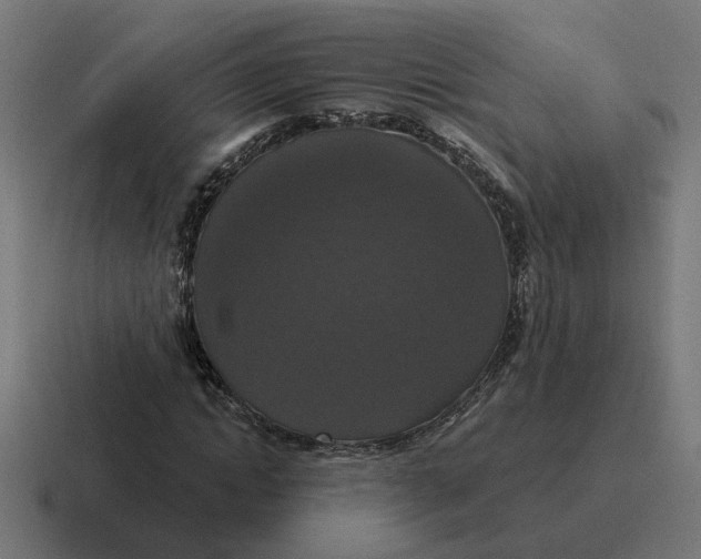 X0000116770822200912311836