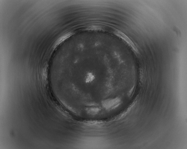 X0000116770826200912311836