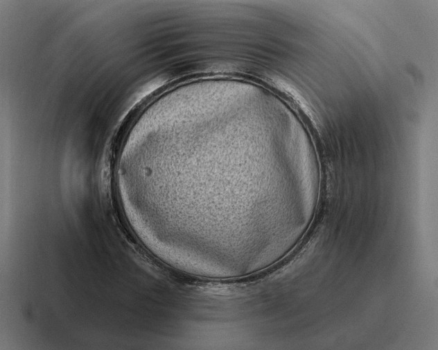 X0000116770827200912311836