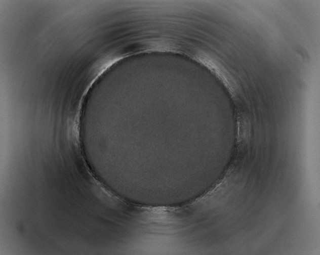 X0000116770828200912311836