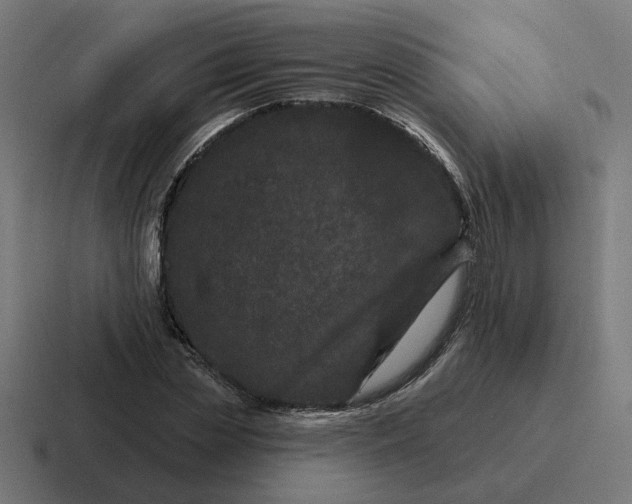 X0000116770829200912311836