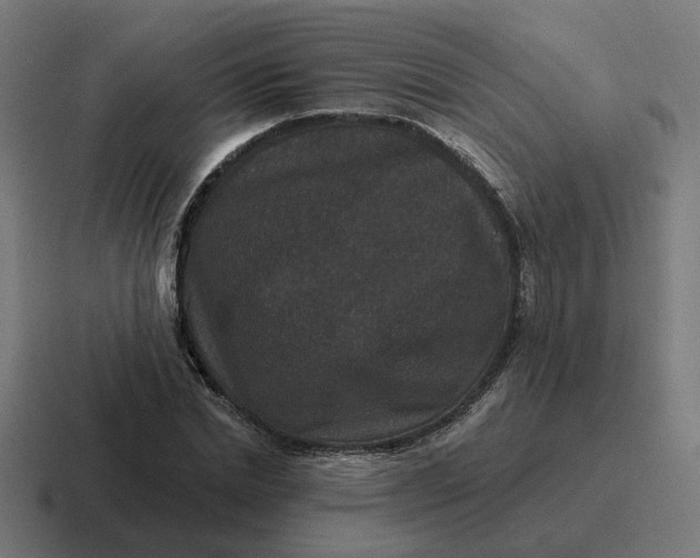 X0000116770830200912311836