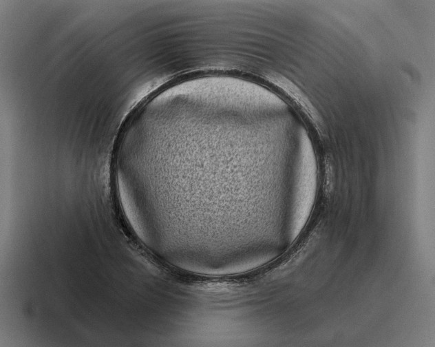 X0000116770834200912311836
