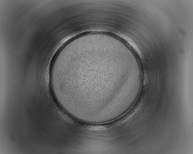 X0000116770837200912311836