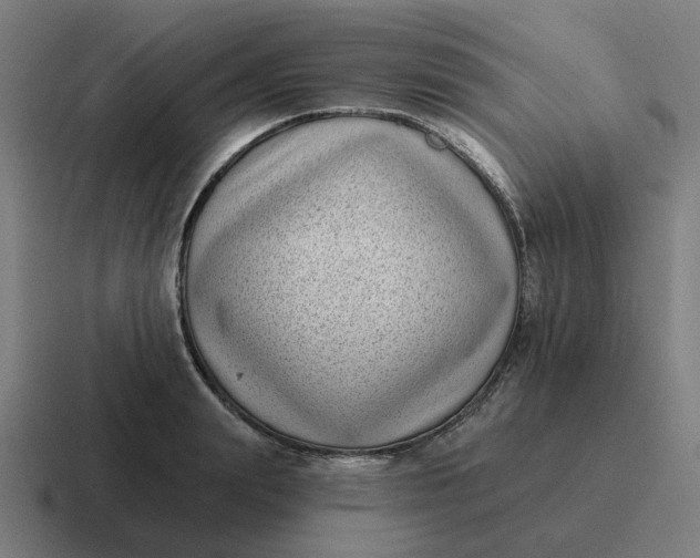 X0000116770847200912311836