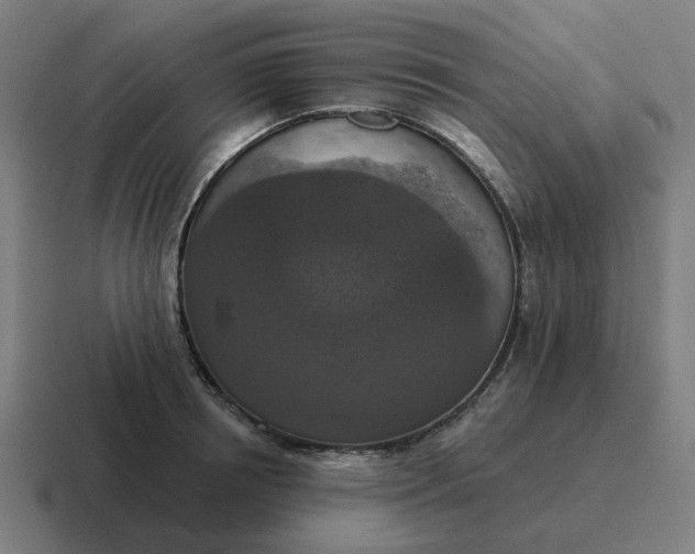 X0000116770850200912311836