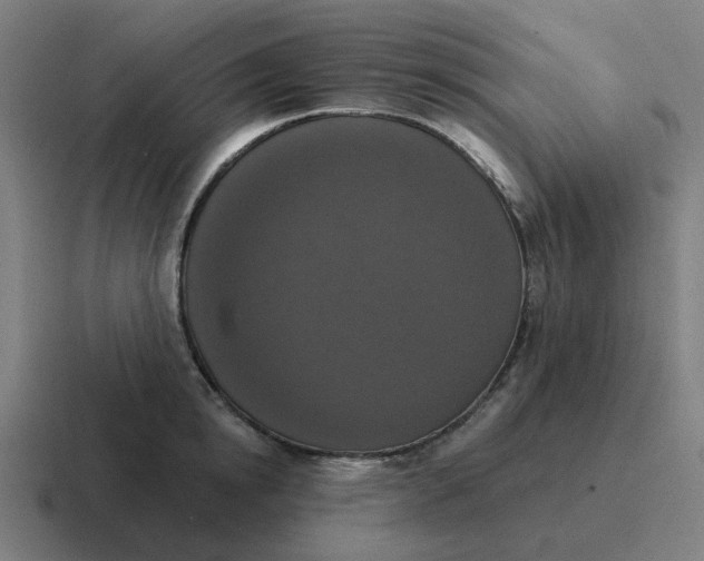 X0000116770854200912311836