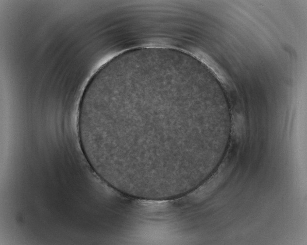 X0000116770856200912311837