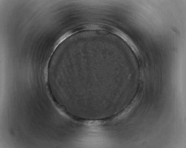 X0000116770858200912311837