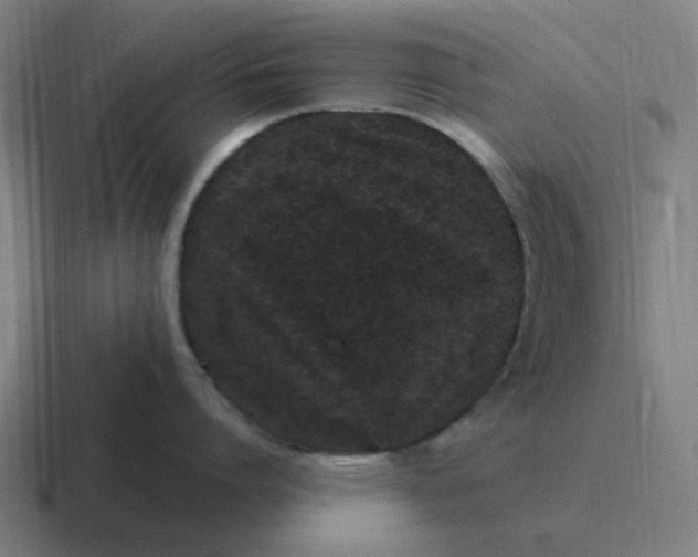 X0000116770864200912311837