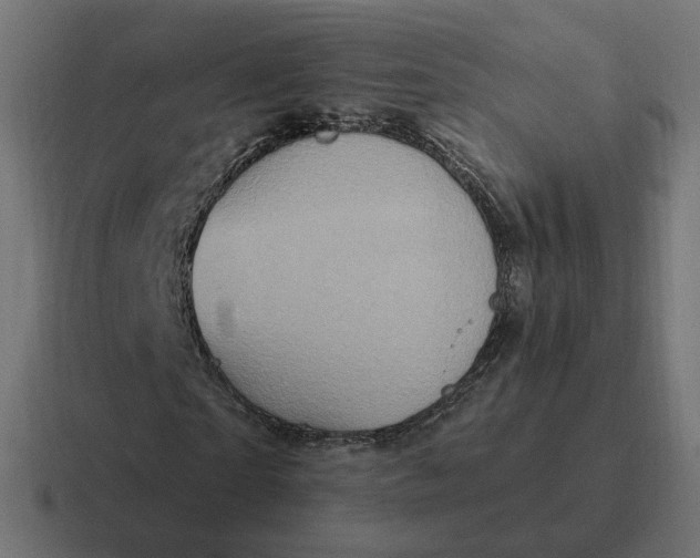 X0000116770865200912311836
