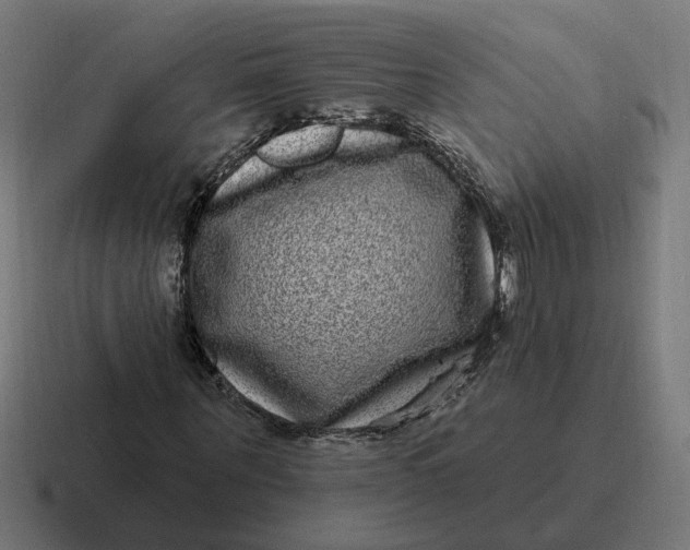 X0000116770867200912311836