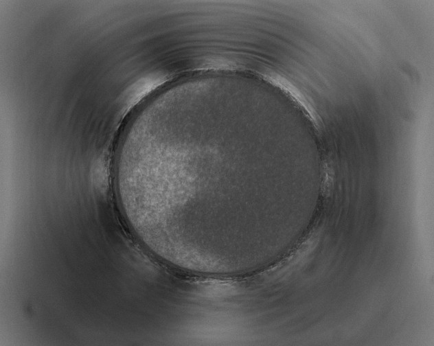 X0000116770874200912311836