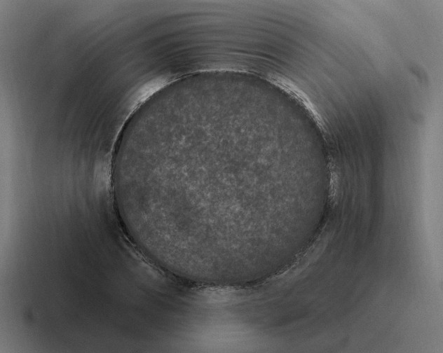 X0000116770882200912311836