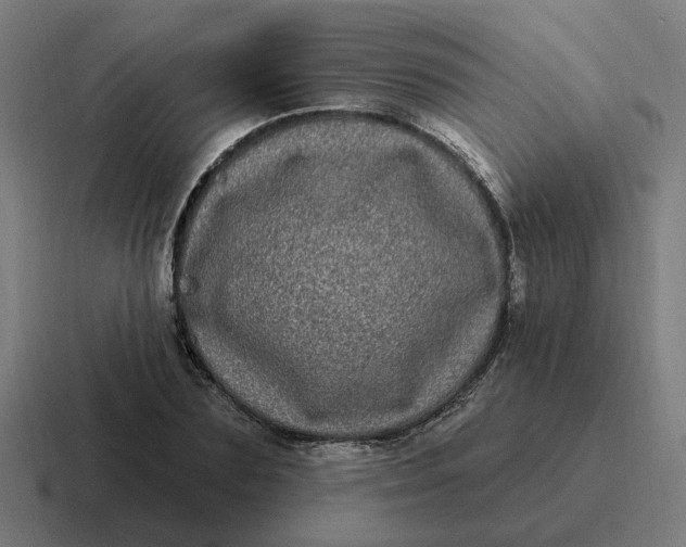 X0000116770883200912311836