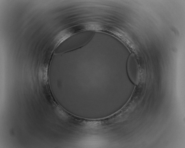 X0000116770889200912311836