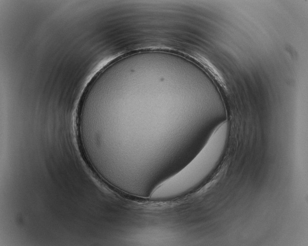 X0000116770893200912311836