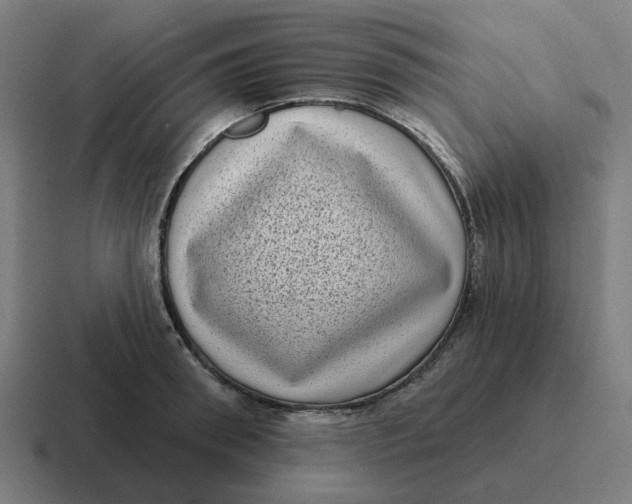 X0000116770898200912311836