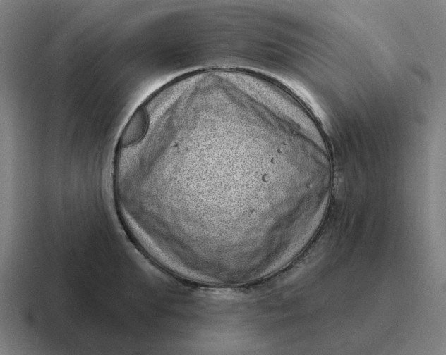 X0000116770903200912311836