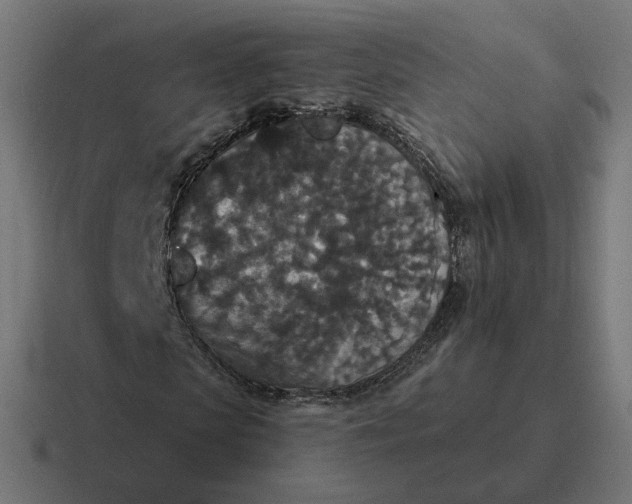 X0000116770913200912311835