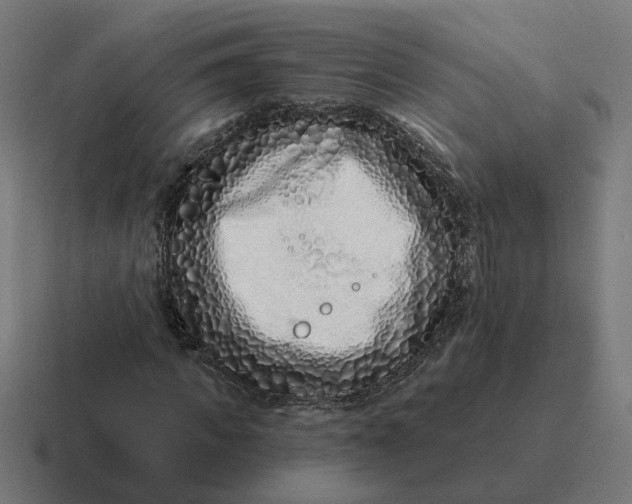 X0000116770917200912311835