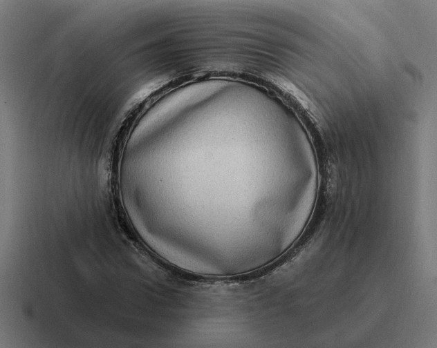 X0000116770922200912311835