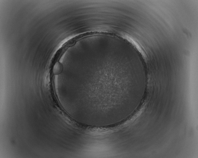 X0000116770923200912311835