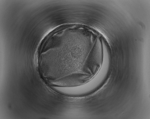 X0000116770925200912311835