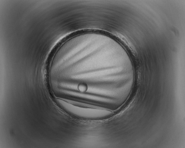 X0000116770926200912311835