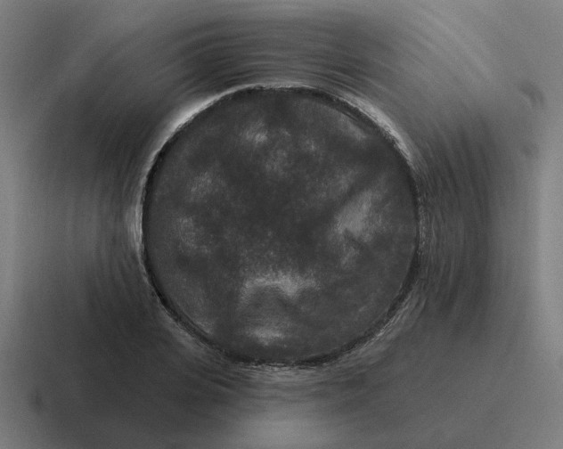 X0000116770935200912311835