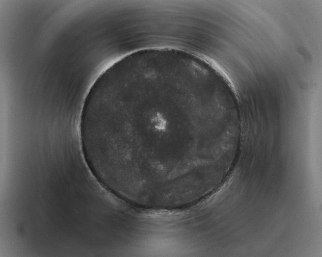 X0000116770943200912311835
