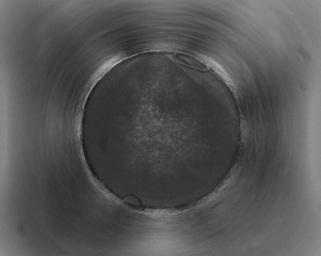 X0000116770946200912311835