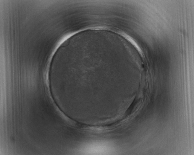 X0000116770959200912311835