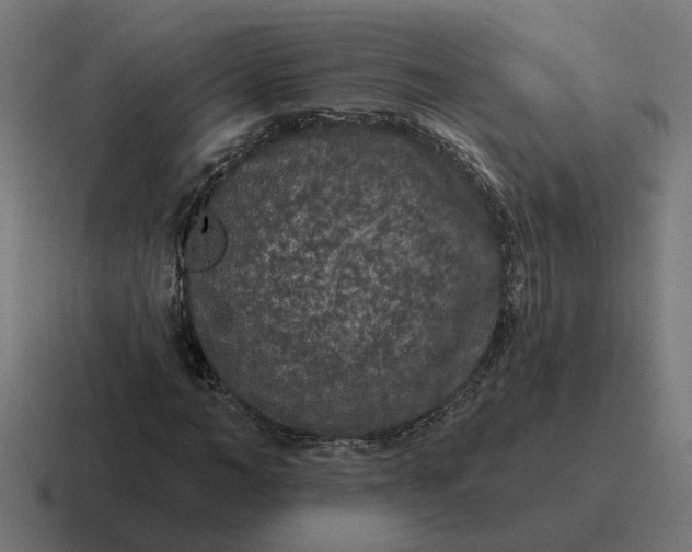 X0000116770966200912311835