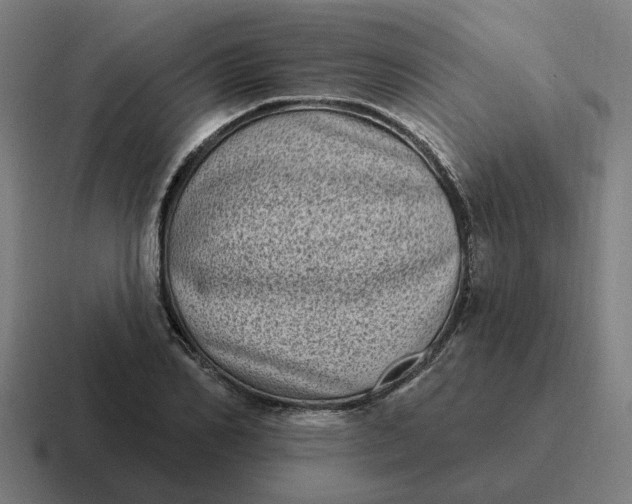 X0000116770982200912311835