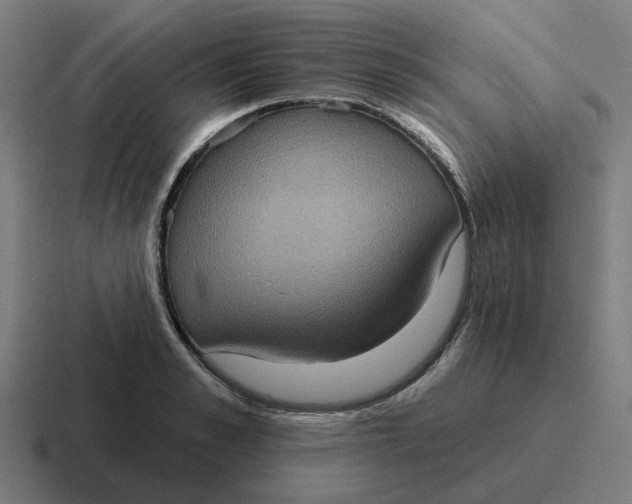 X0000116770989200912311834