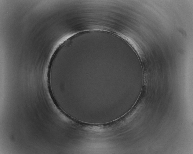 X0000116770995200912311834