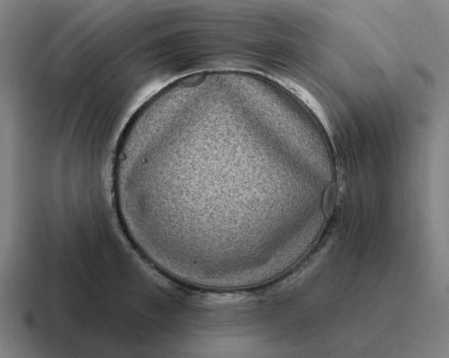 X0000116770997200912311834
