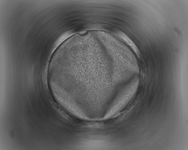 X0000116771002200912311834