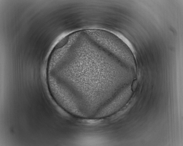 X0000116771005200912311834