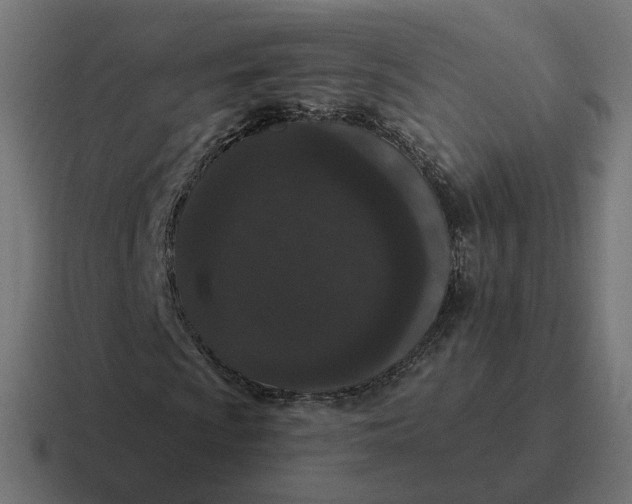 X0000116771009200912311834