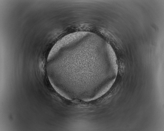 X0000116771010200912311834