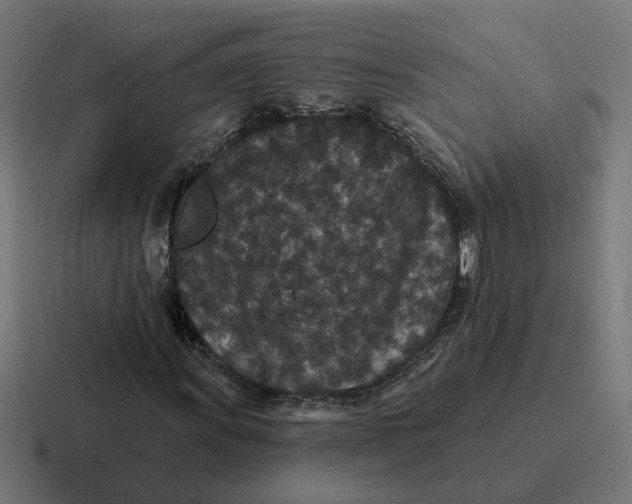 X0000116771011200912311834