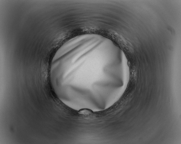 X0000116771012200912311834