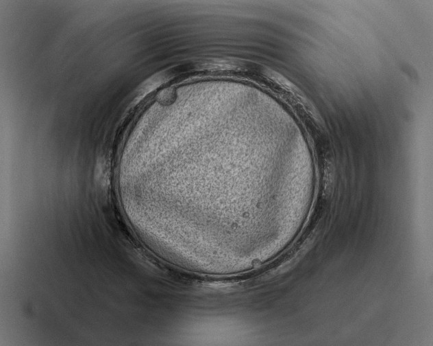 X0000116771017200912311834
