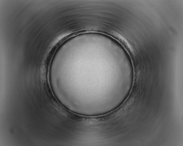 X0000116771019200912311834